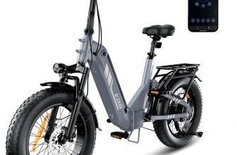 iScooter EB8 Torque Sensor Electric Bike 48V 15AH 250W Peak 1000W…